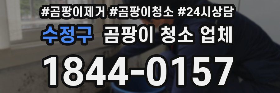 수정구 곰팡이 청소 업체