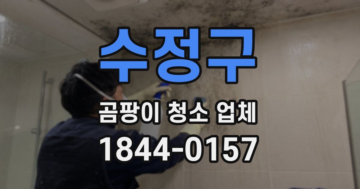 수정구 곰팡이 청소 업체