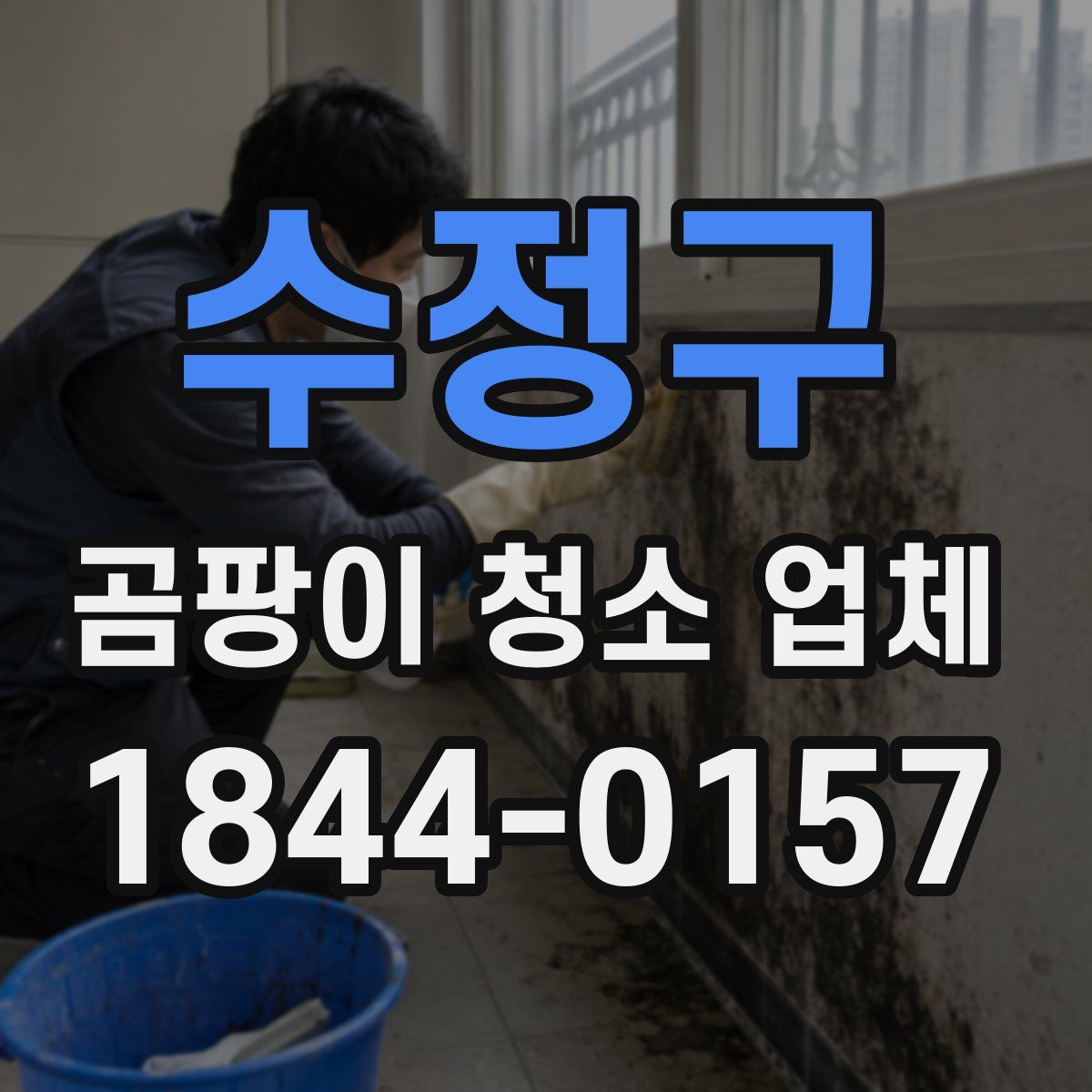 수정구 곰팡이 청소 업체