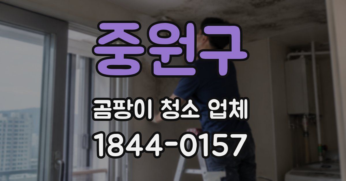 중원구 곰팡이 청소 업체