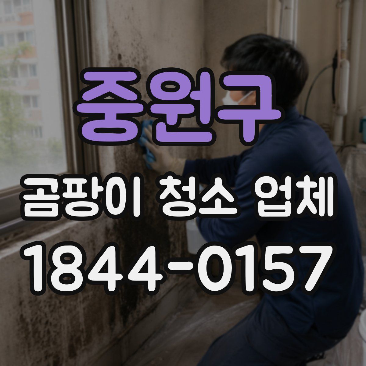 중원구 곰팡이 청소 업체