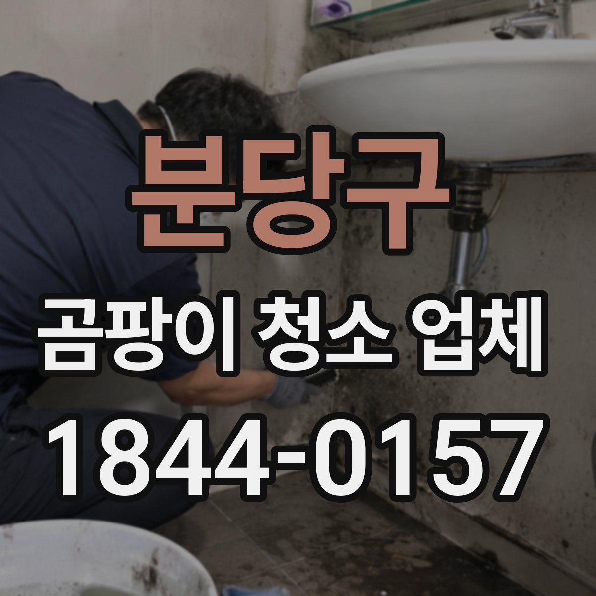 분당구 곰팡이 청소 업체