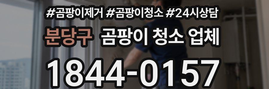 분당구 곰팡이 청소 업체