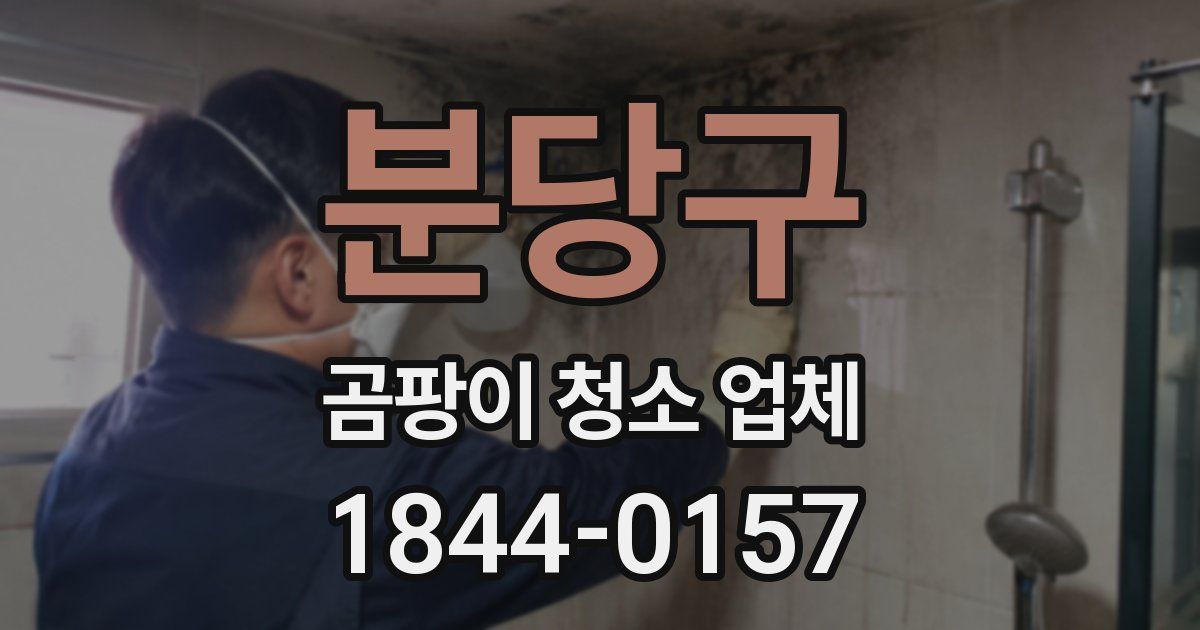분당구 곰팡이 청소 업체
