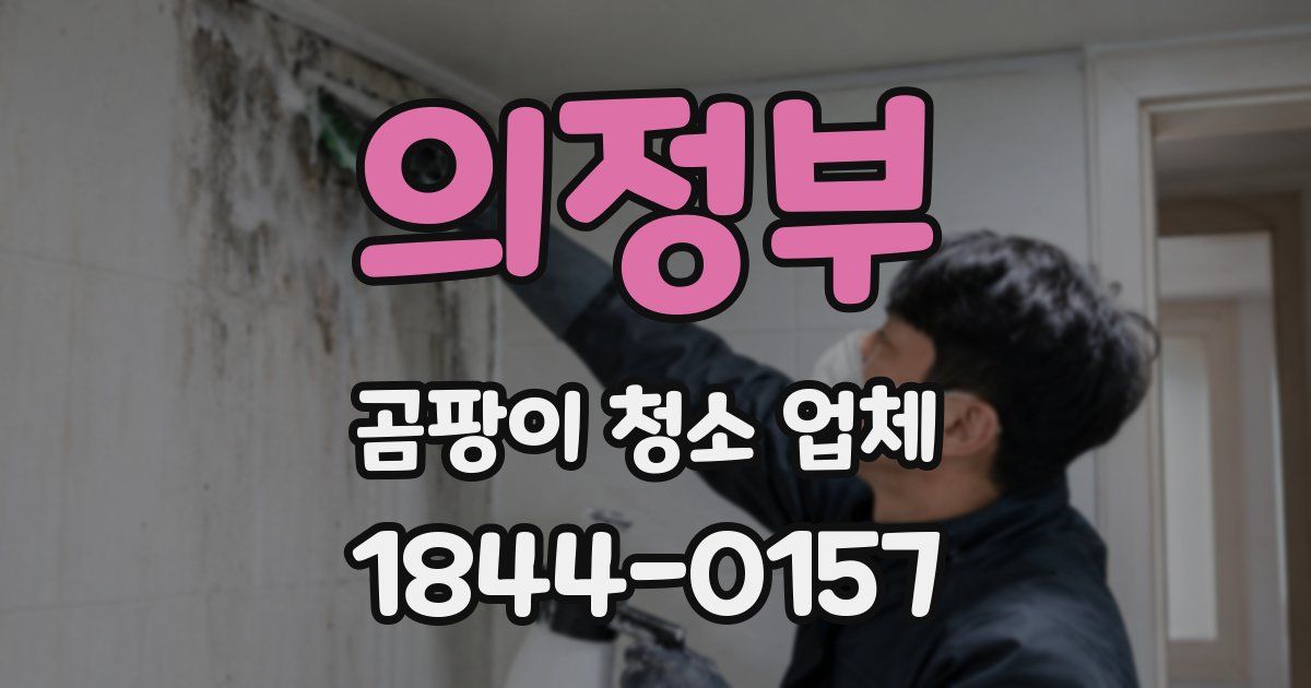 의정부 곰팡이 청소 업체