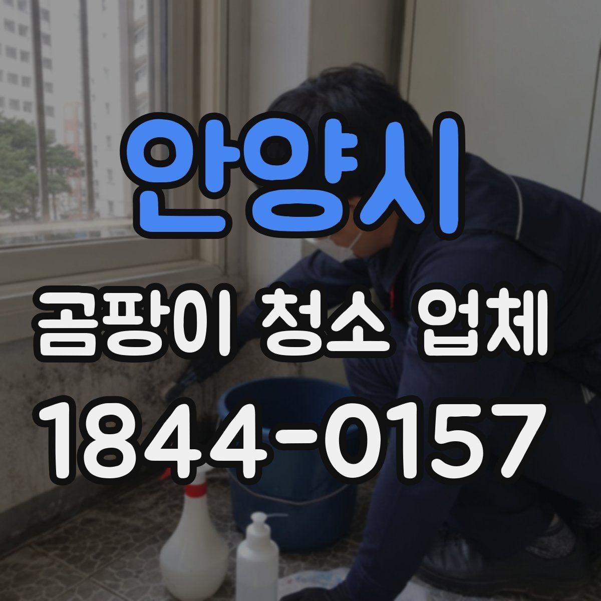안양시 곰팡이 청소 업체 방마다 다른 오염 상태를 점검하는 법