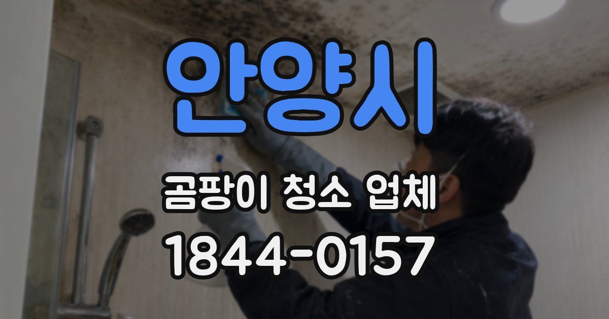 안양시 곰팡이 청소 업체