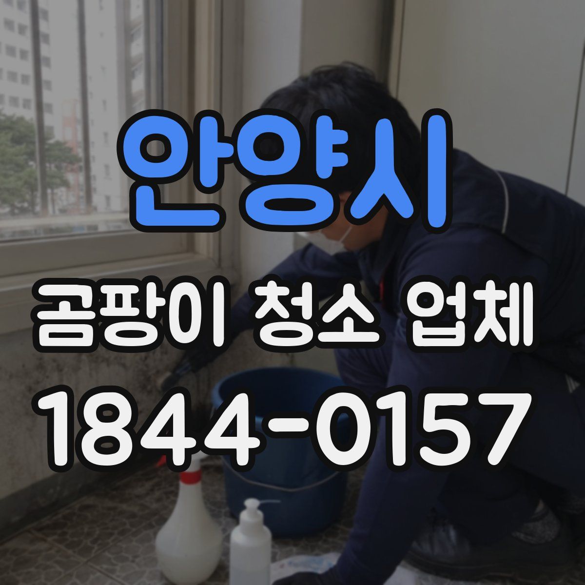 안양시 곰팡이 청소 업체