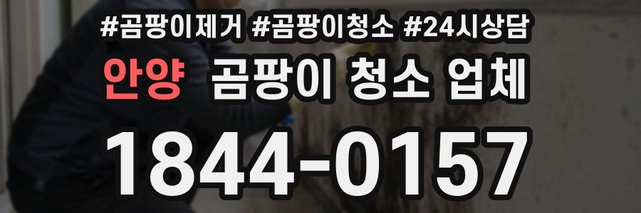 안양 곰팡이 청소 업체