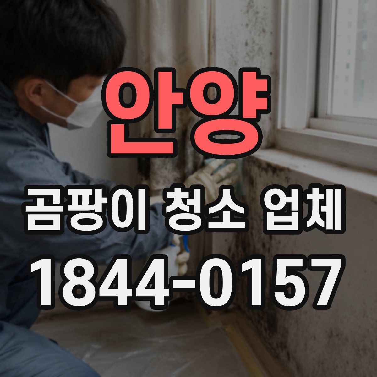 안양 곰팡이 청소 업체