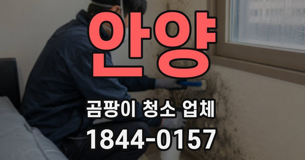 안양 곰팡이 청소 업체
