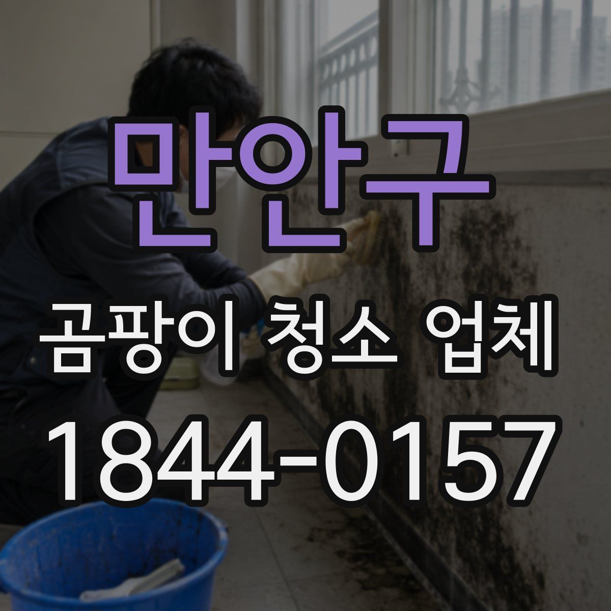 만안구 곰팡이 청소 업체