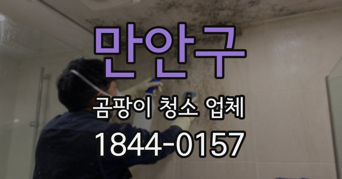 만안구 곰팡이 청소 업체
