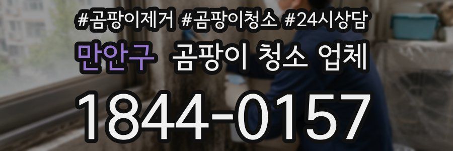만안구 곰팡이 청소 업체