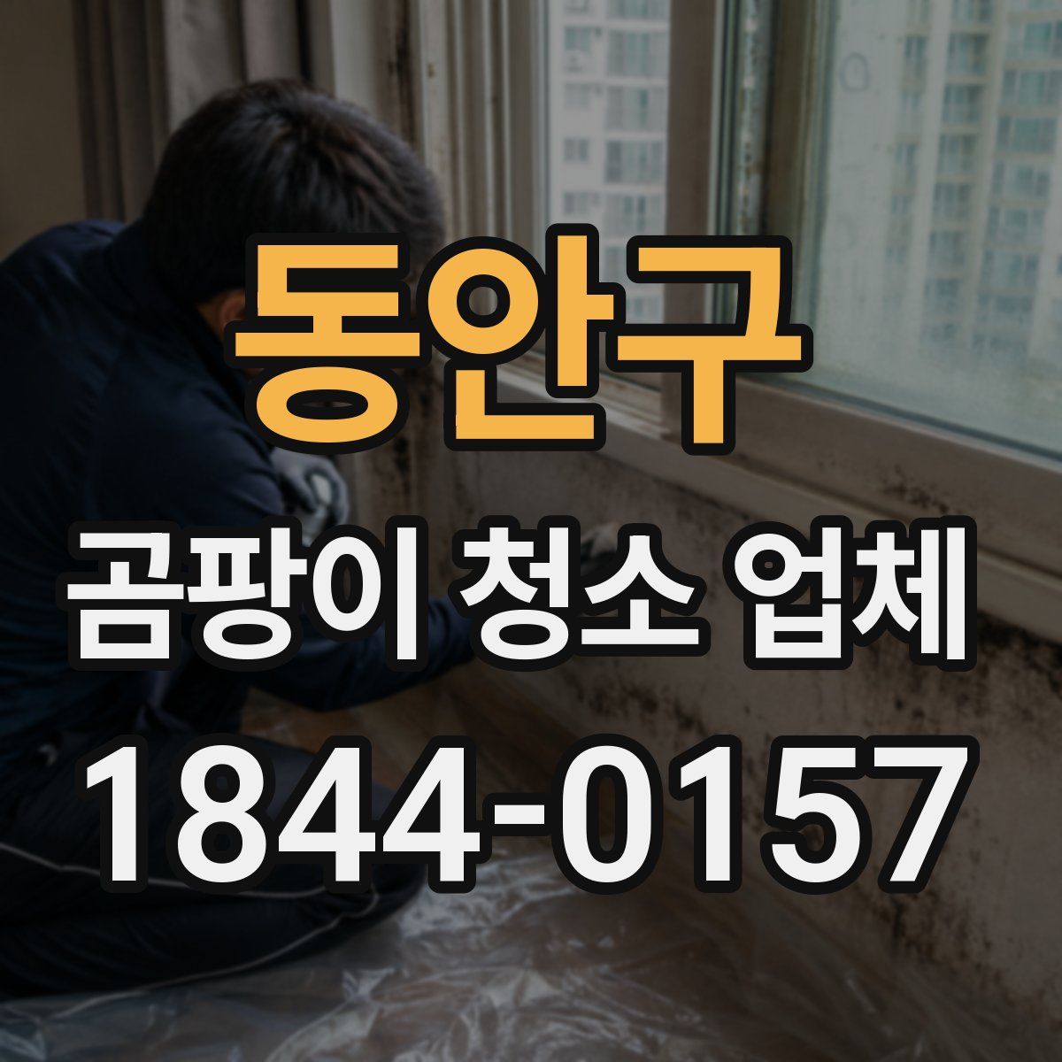 동안구 곰팡이 청소 업체