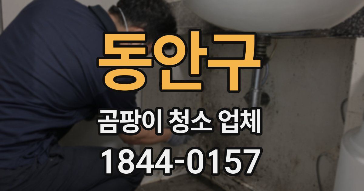 동안구 곰팡이 청소 업체