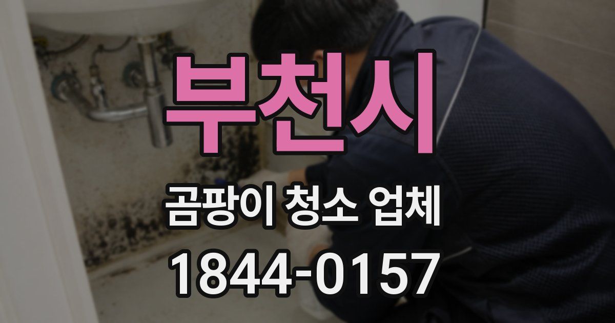 부천시 곰팡이 청소 업체