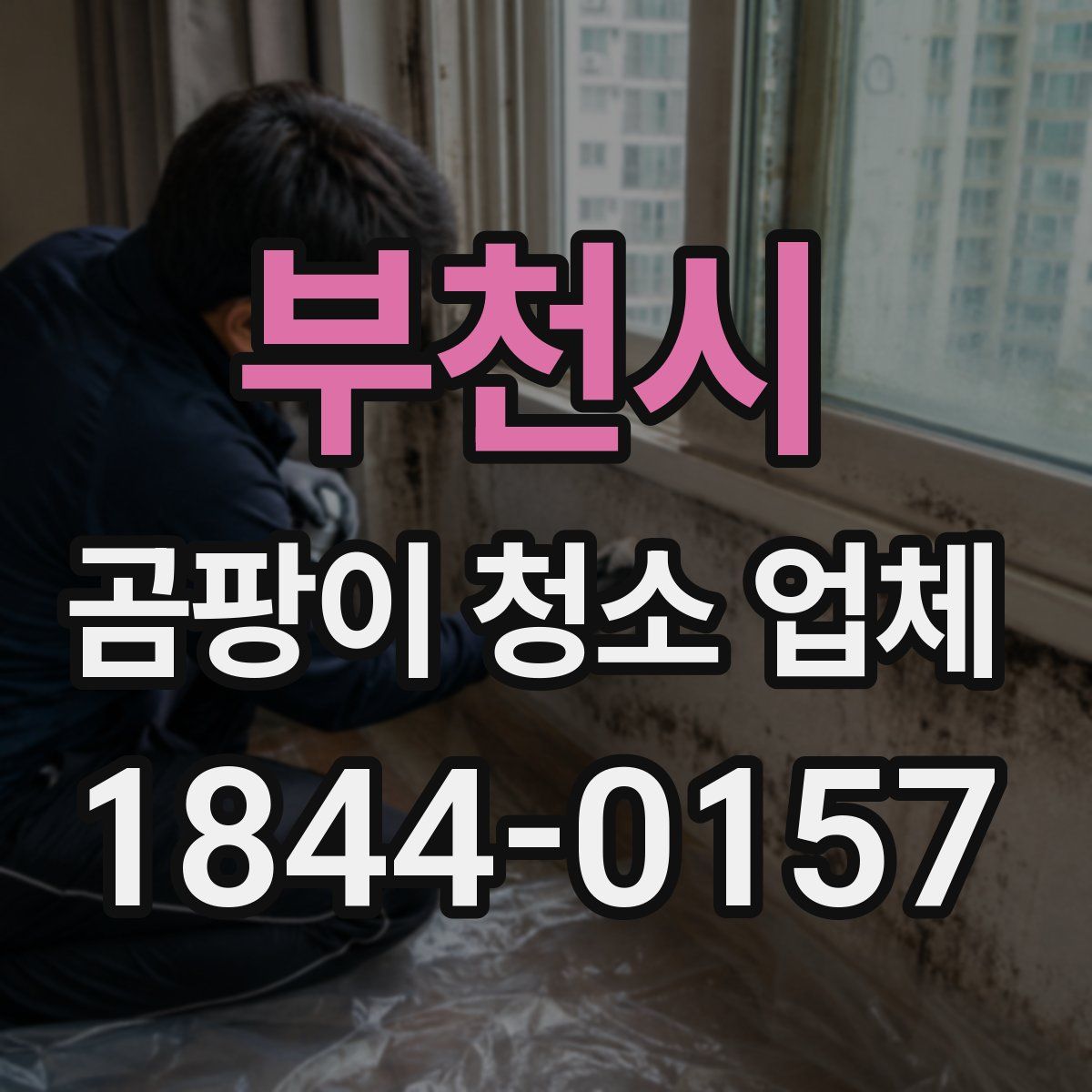 부천시 곰팡이 청소 업체