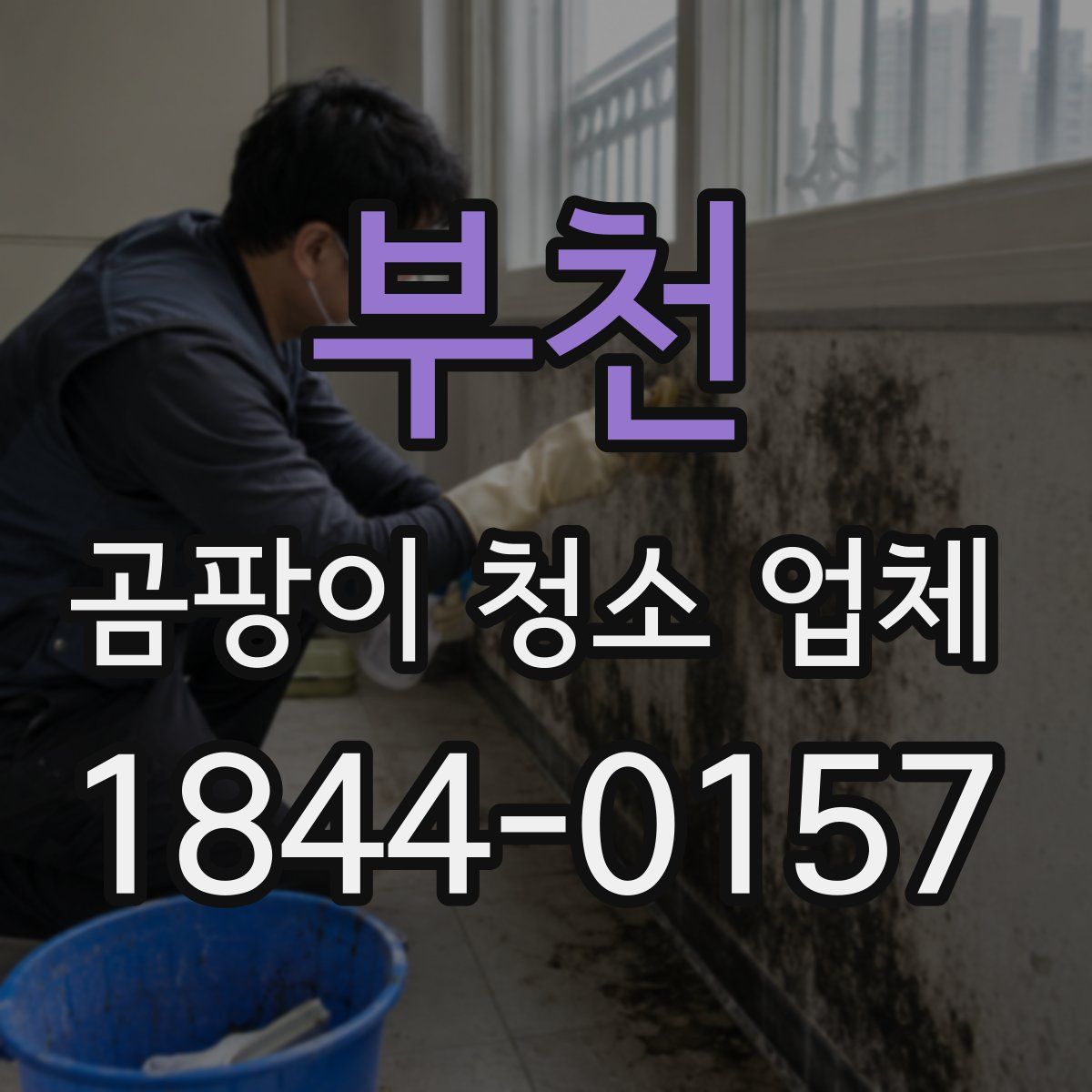 부천 곰팡이 청소 업체