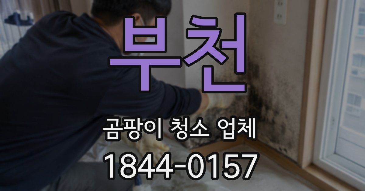 부천 곰팡이 청소 업체