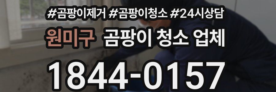 원미구 곰팡이 청소 업체