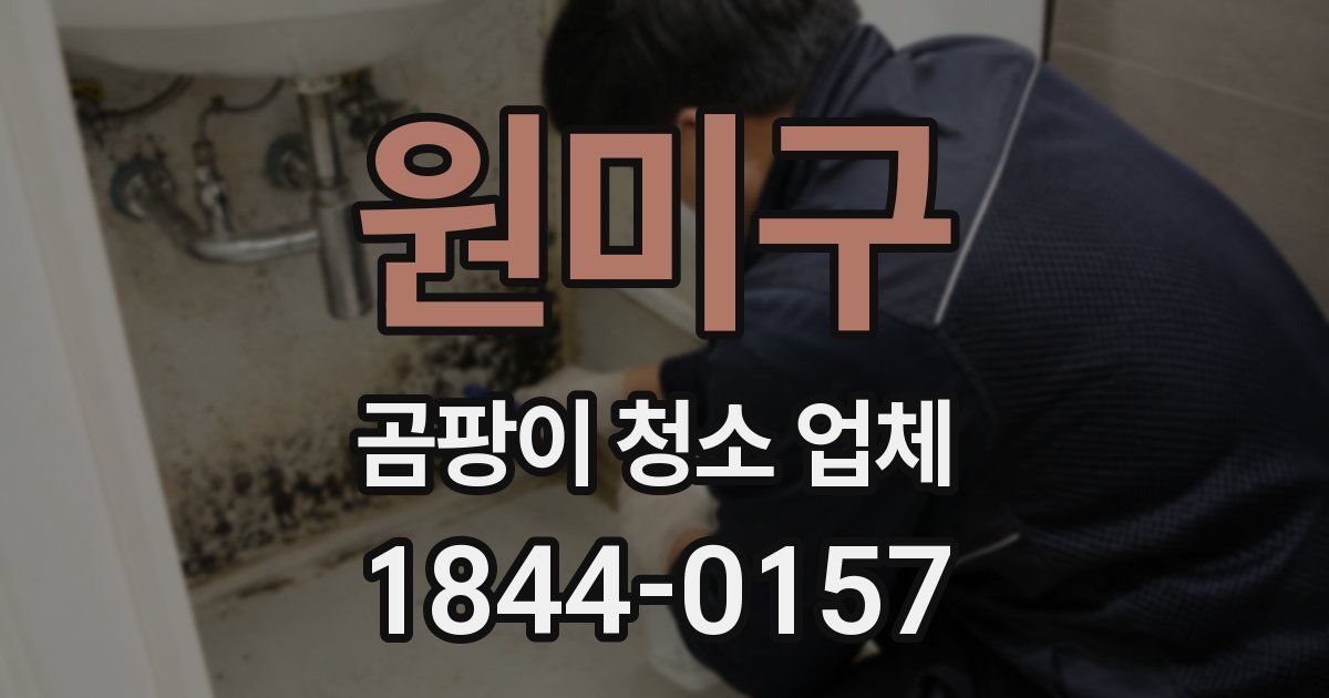 원미구 곰팡이 청소 업체