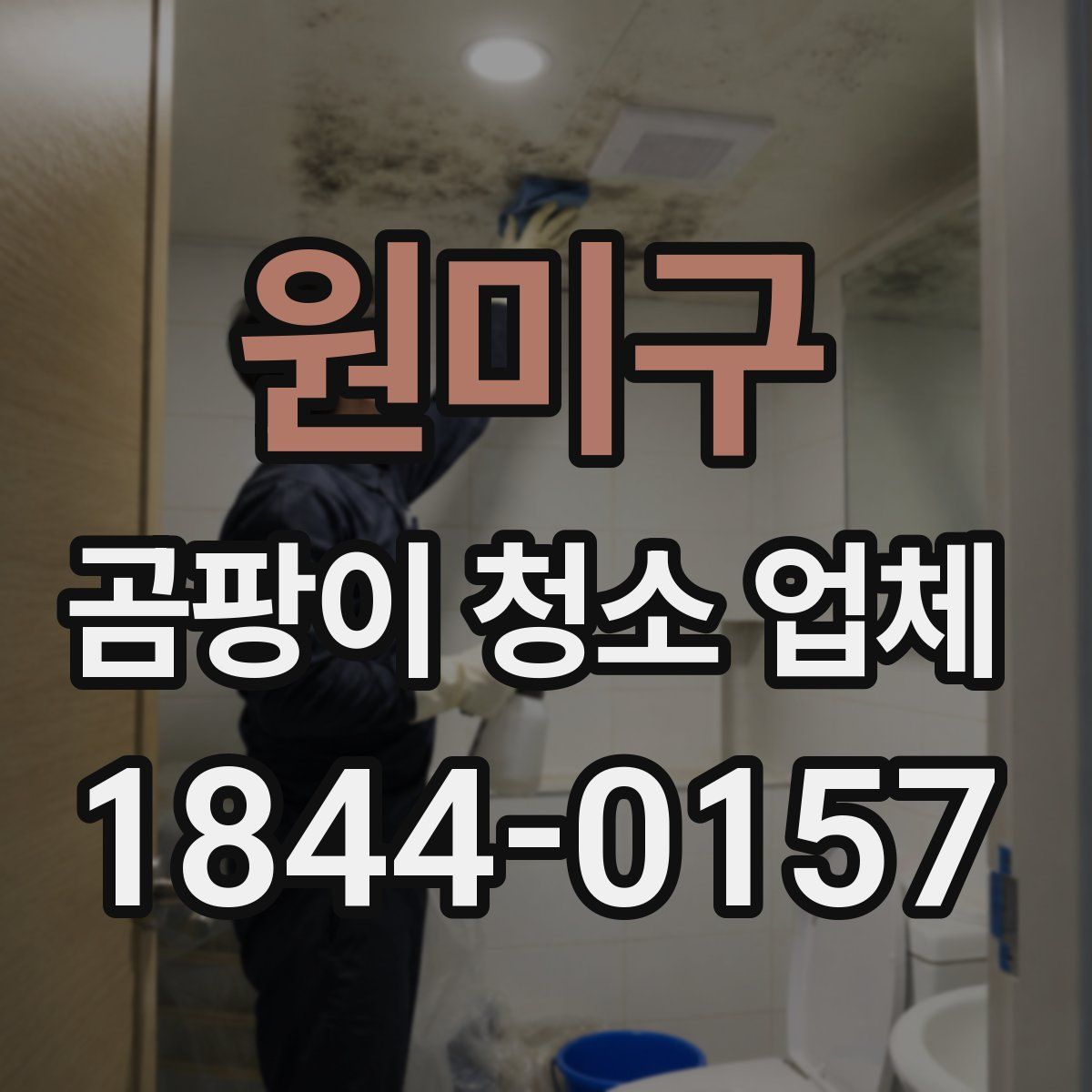 원미구 곰팡이 청소 업체
