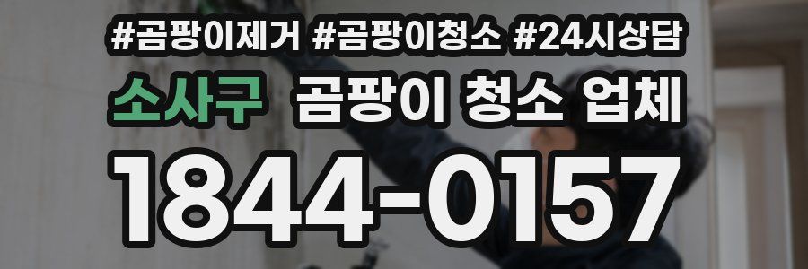 소사구 곰팡이 청소 업체