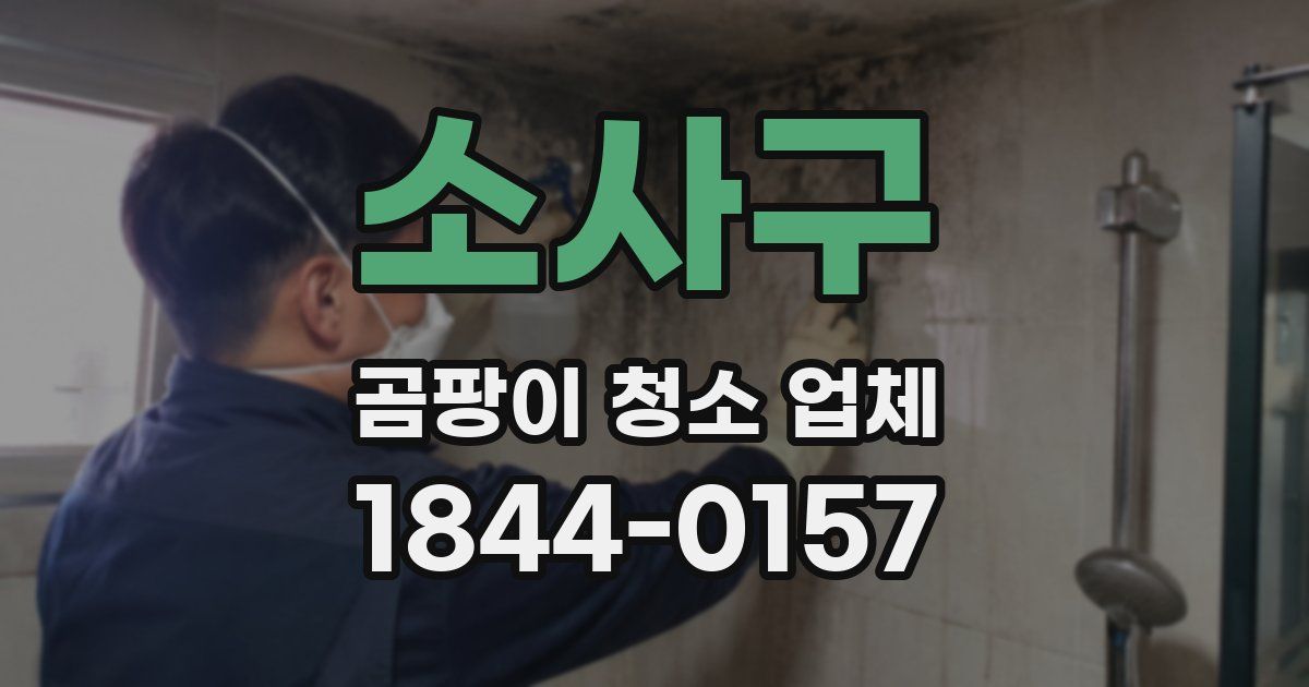 소사구 곰팡이 청소 업체