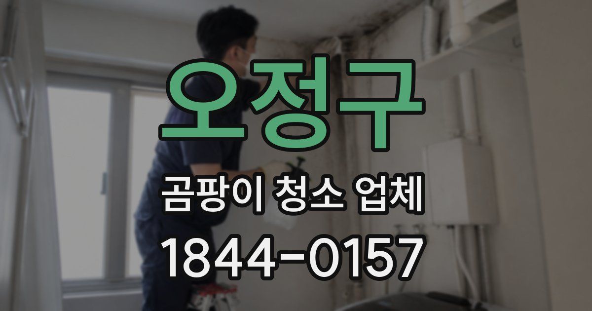 오정구 곰팡이 청소 업체