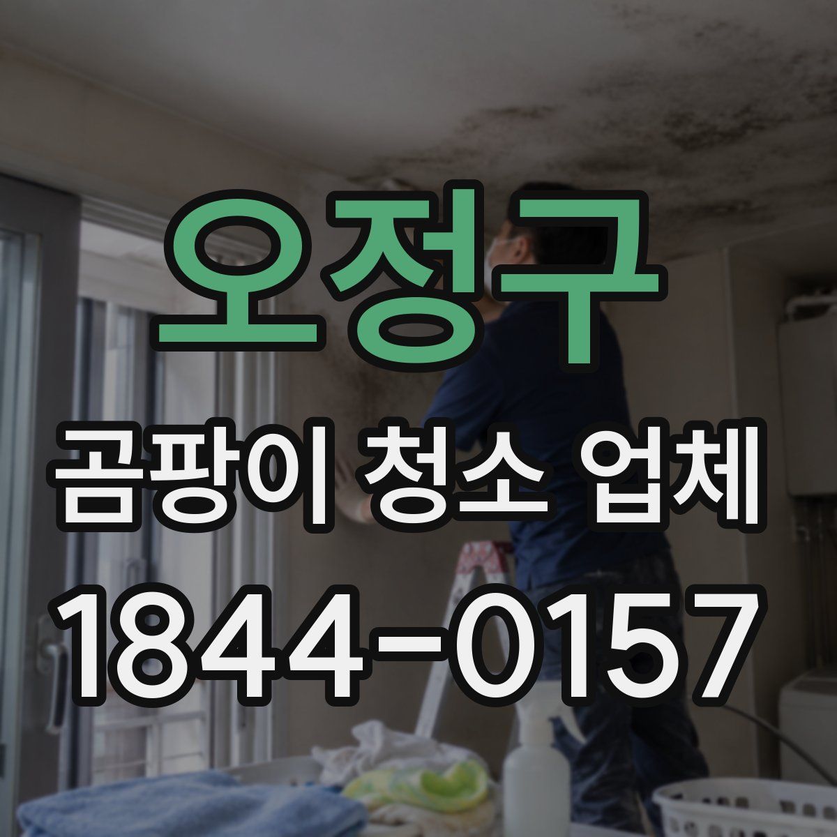 오정구 곰팡이 청소 업체