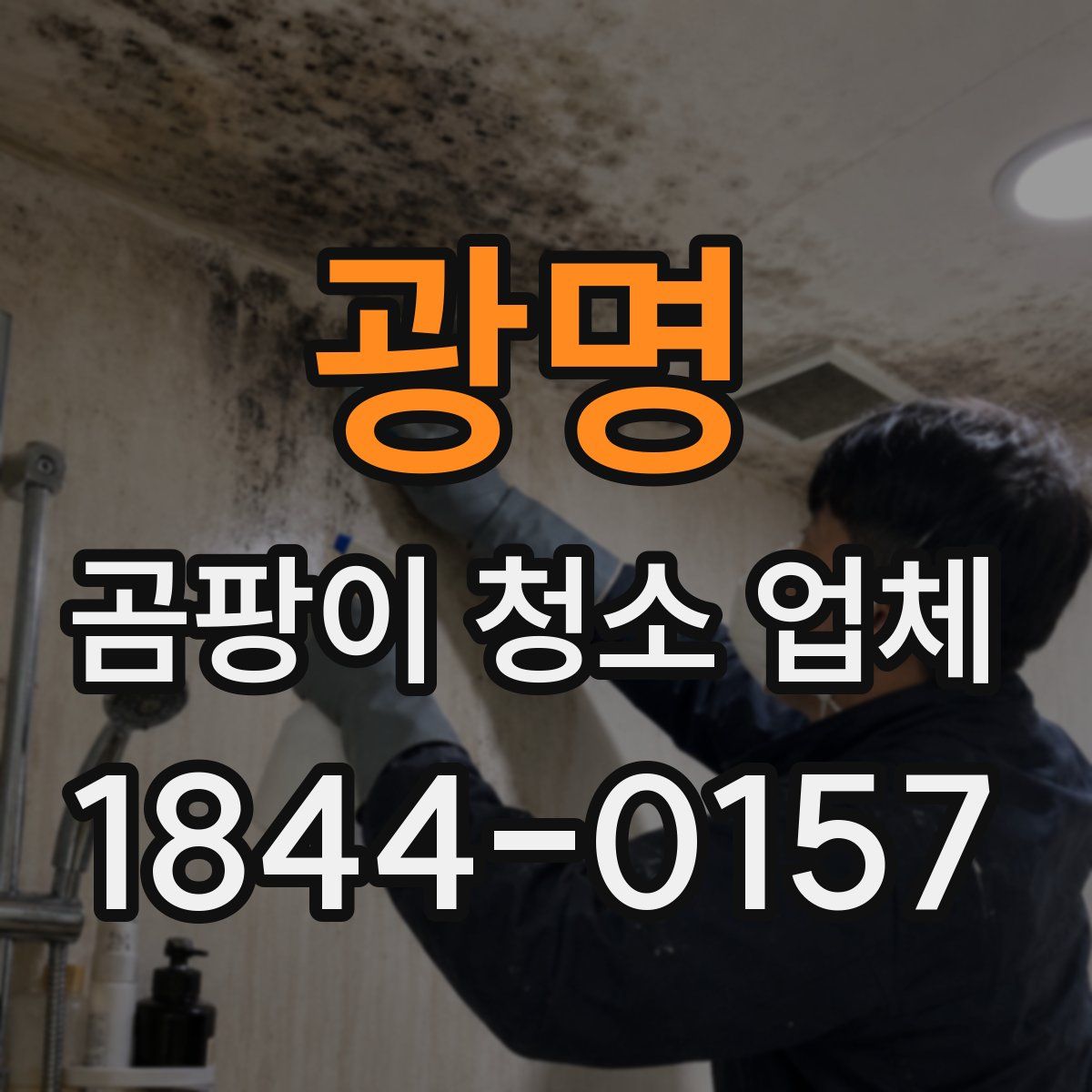 광명 곰팡이 청소 업체