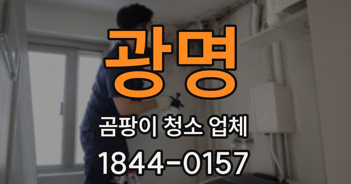 광명 곰팡이 청소 업체