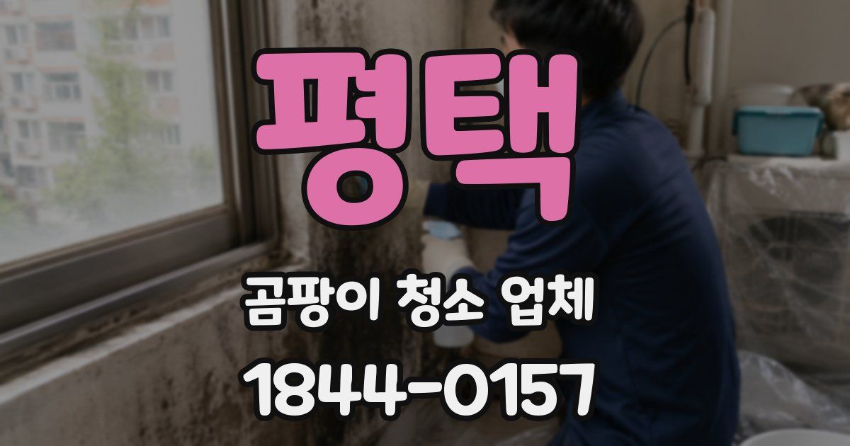 평택 곰팡이 청소 업체