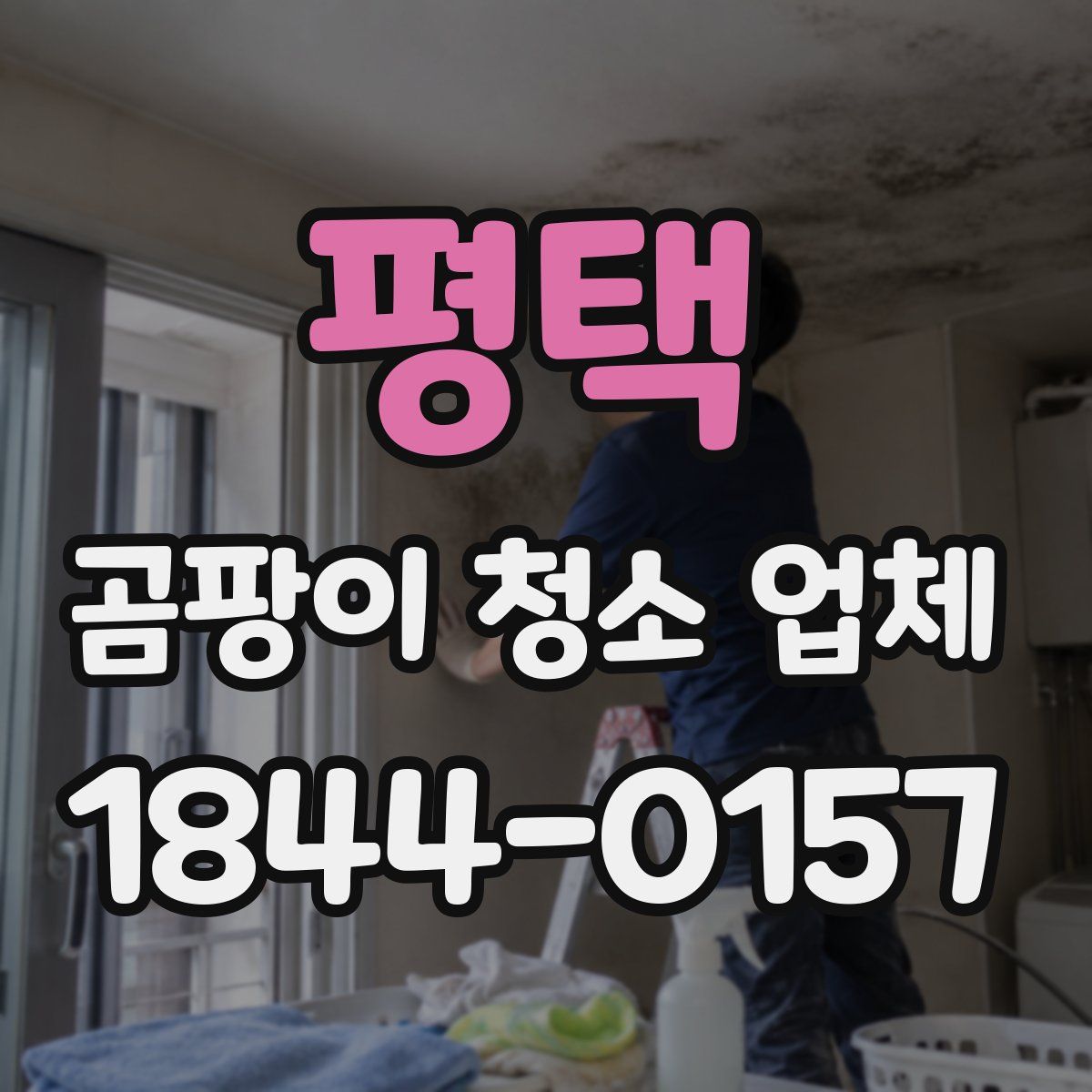평택 곰팡이 청소 업체
