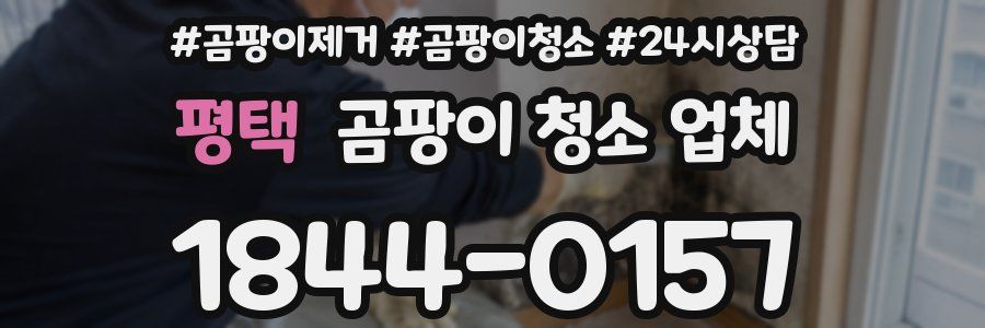 평택 곰팡이 청소 업체