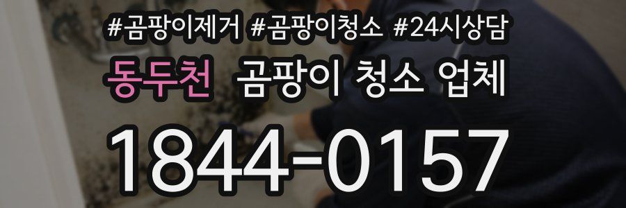 동두천 곰팡이 청소 업체
