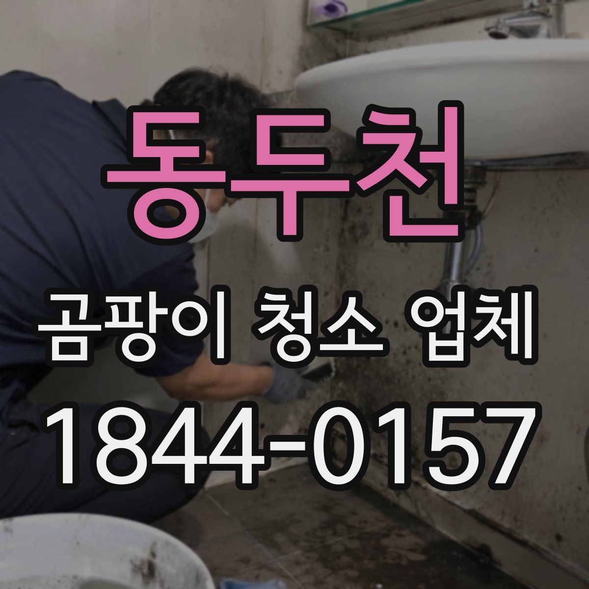 동두천 곰팡이 청소 업체