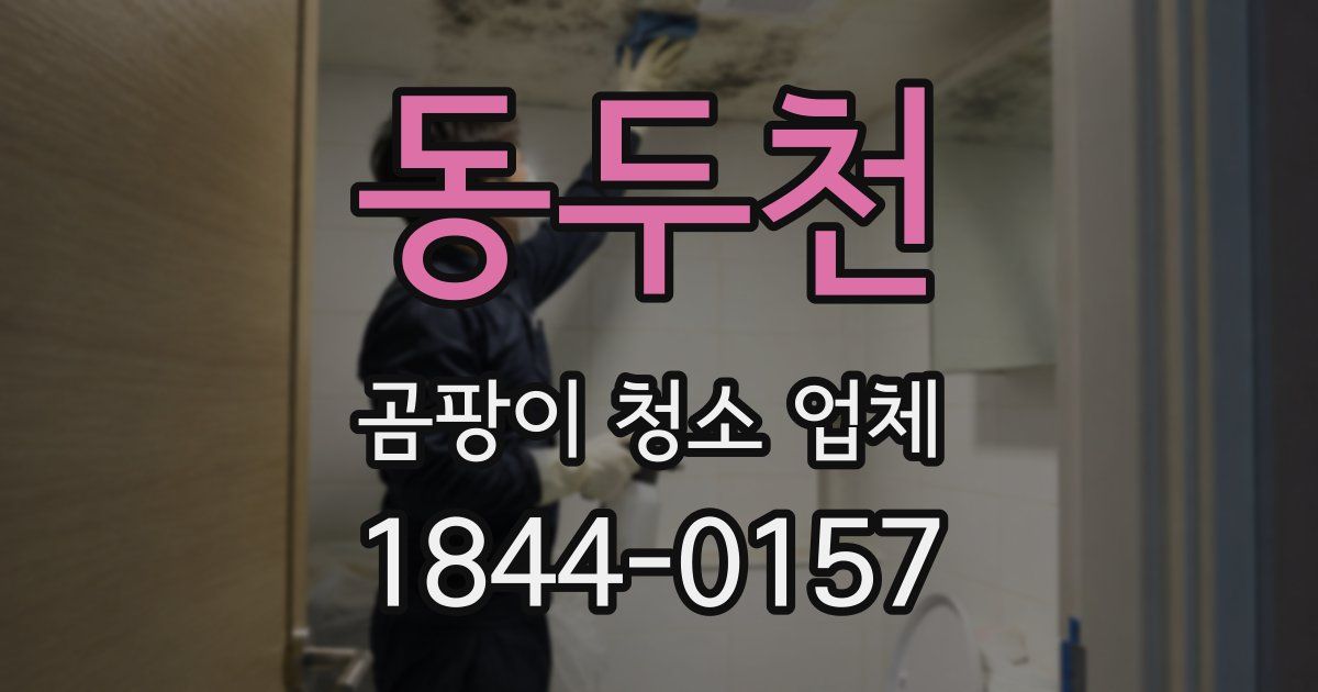 동두천 곰팡이 청소 업체