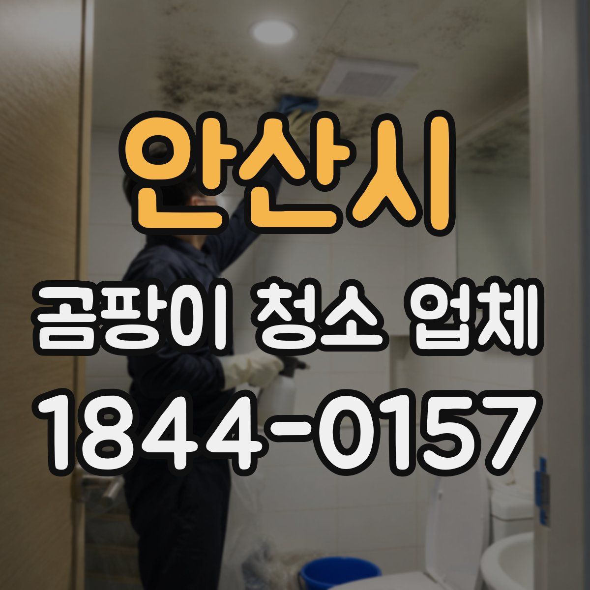 안산시 곰팡이 청소 업체