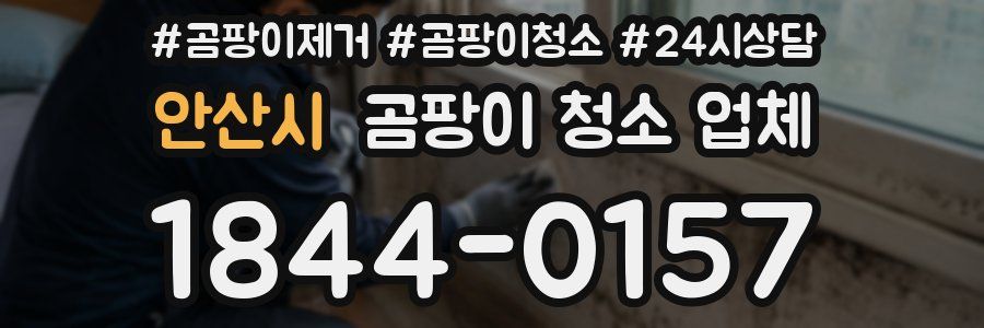 안산시 곰팡이 청소 업체