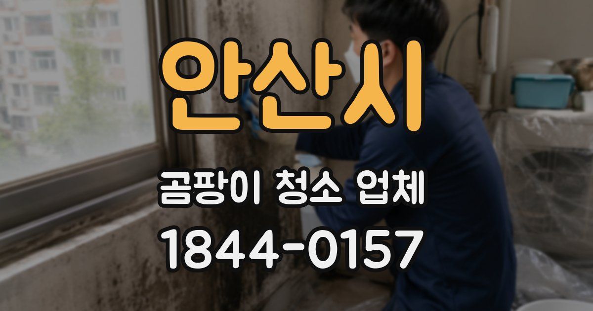 안산시 곰팡이 청소 업체