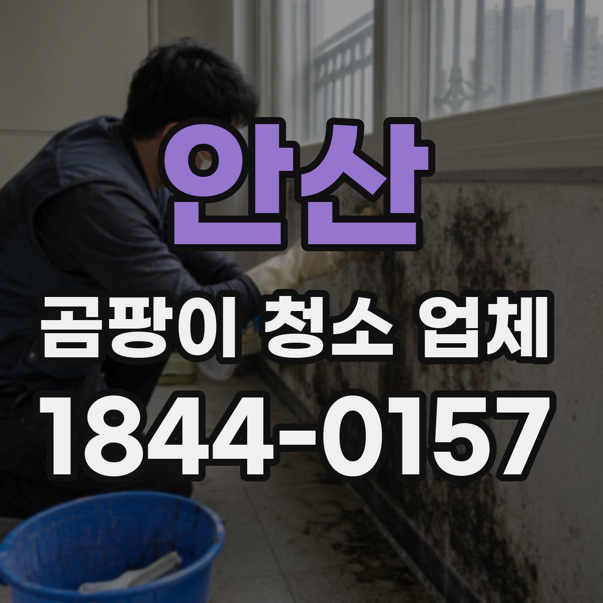 안산 곰팡이 청소 업체