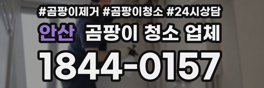 안산 곰팡이 청소 업체