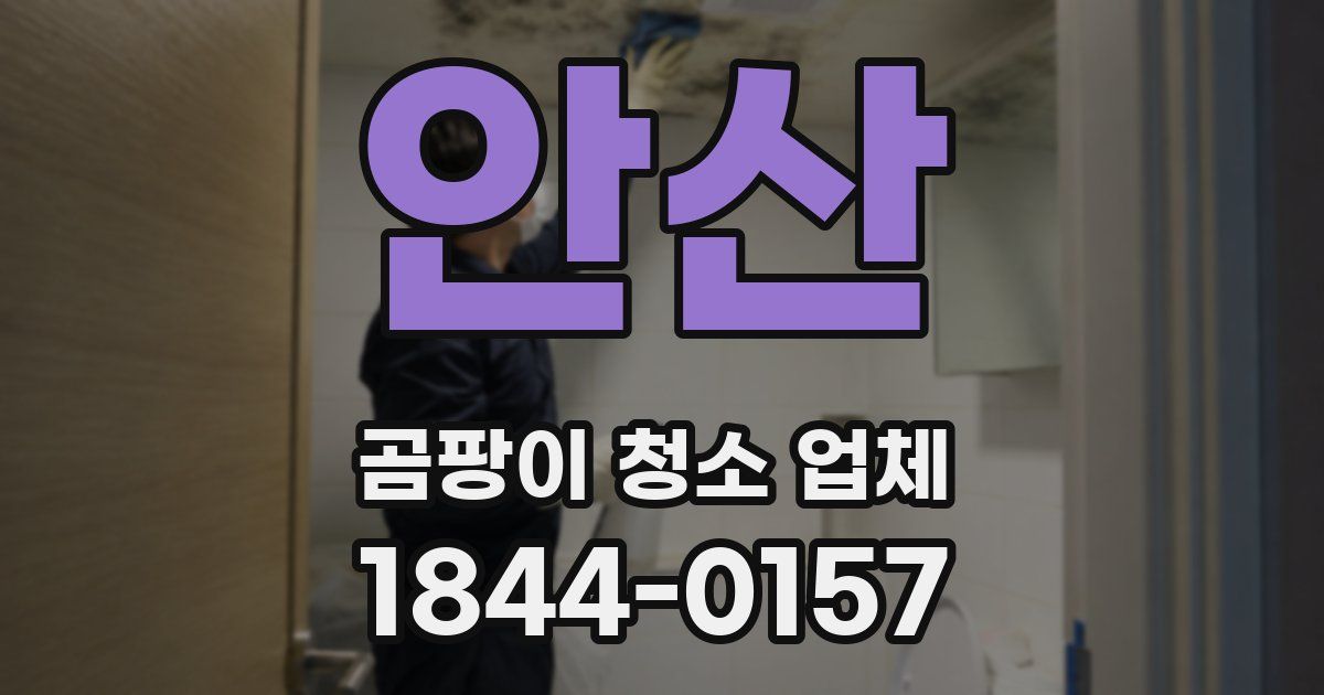 안산 곰팡이 청소 업체