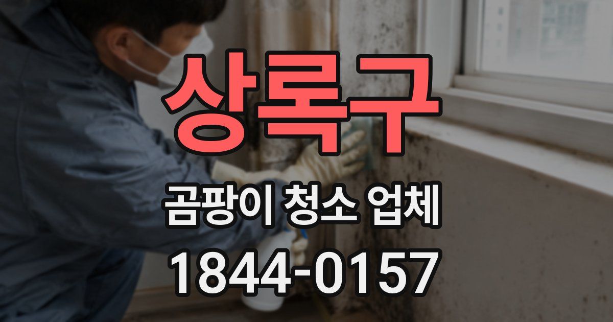 상록구 곰팡이 청소 업체