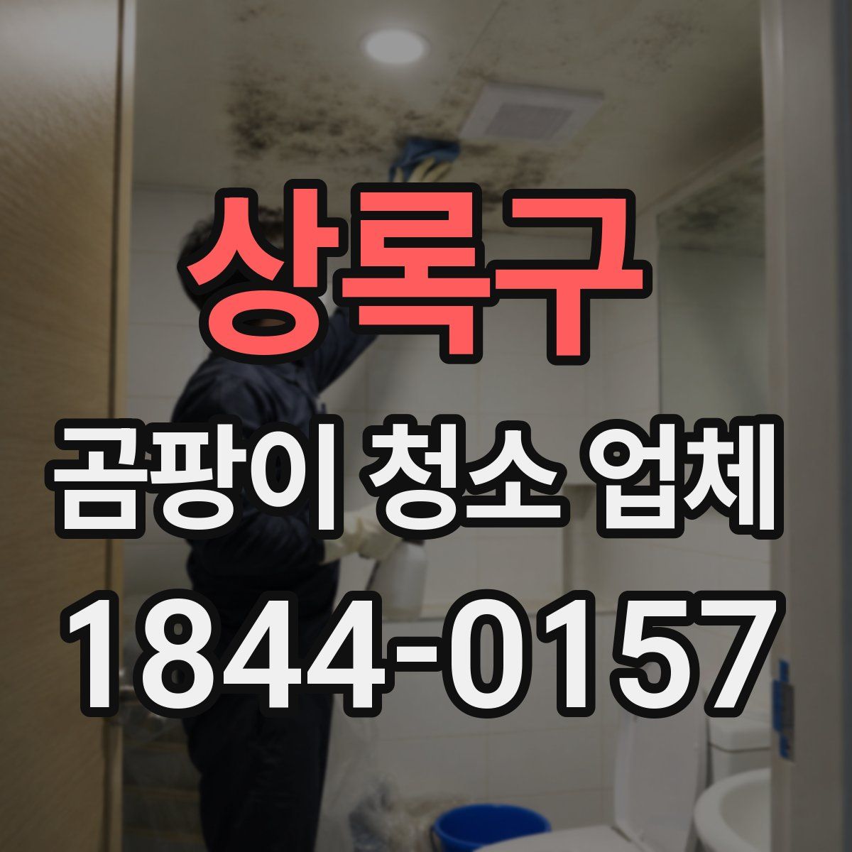 상록구 곰팡이 청소 업체