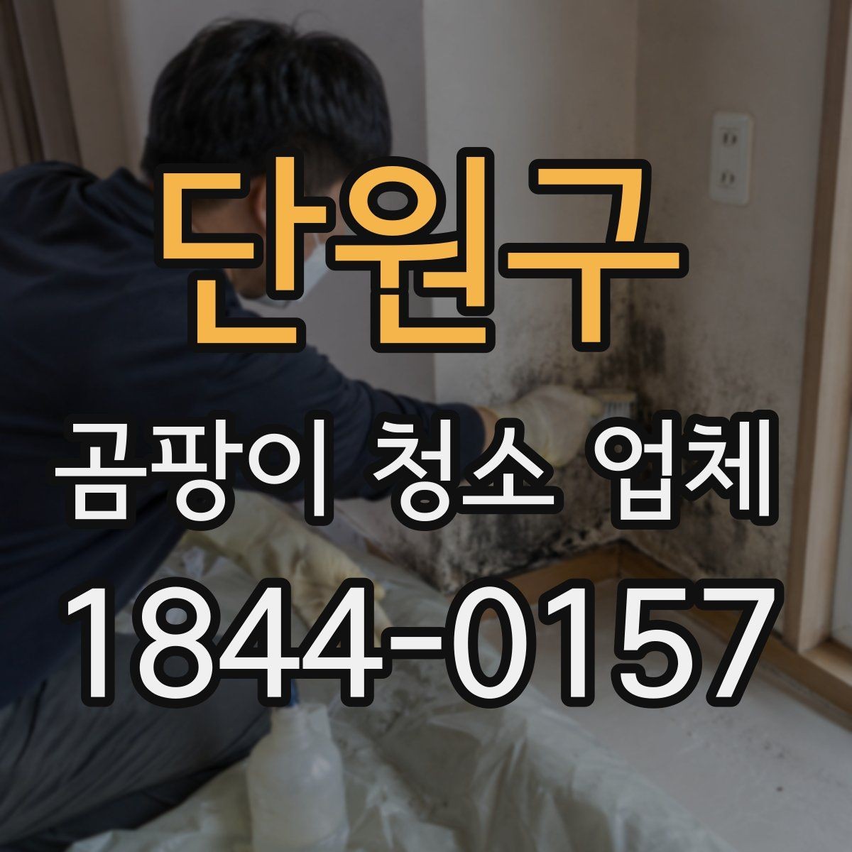 단원구 곰팡이 청소 업체 전후 비교 사진으로 보는 관리 결과