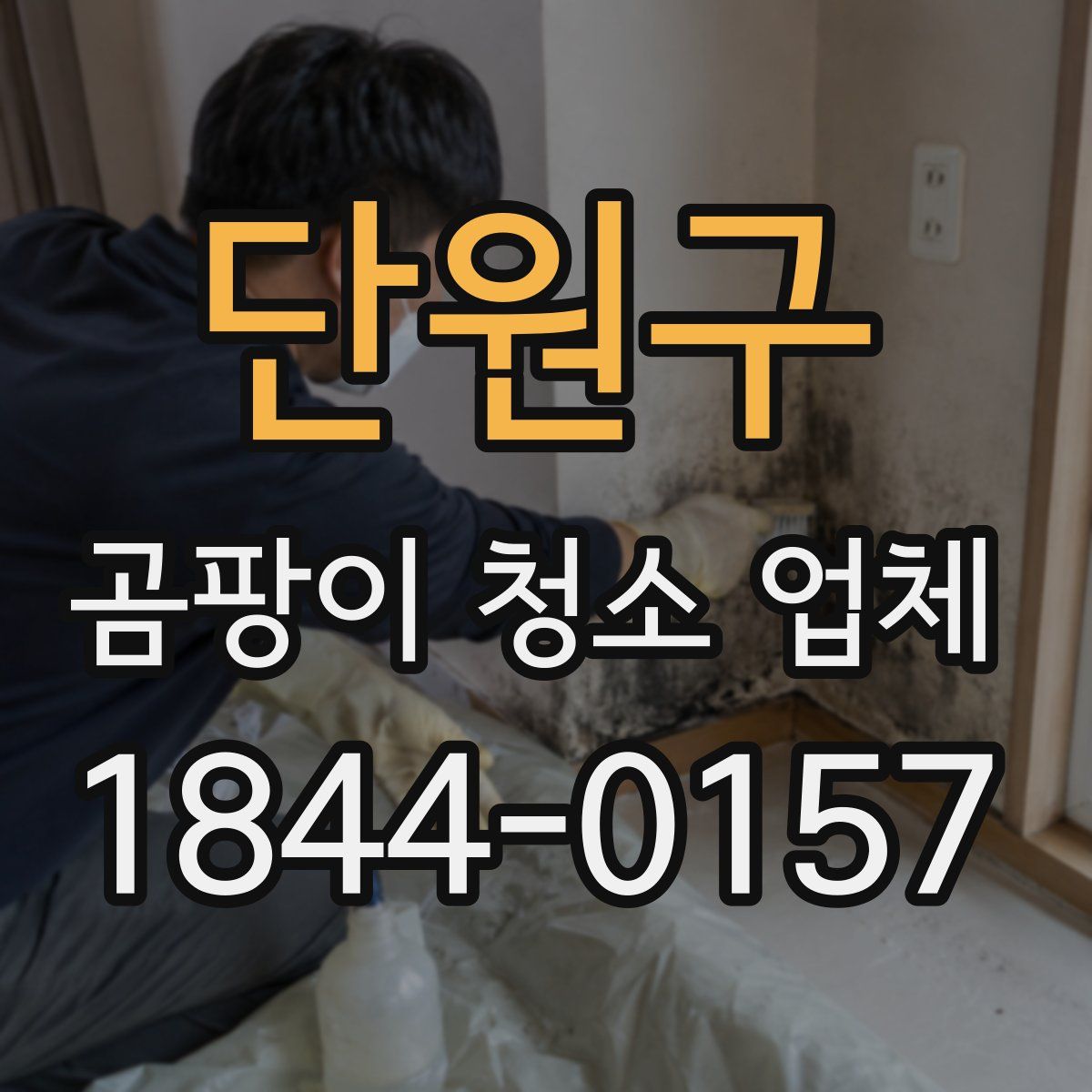 단원구 곰팡이 청소 업체