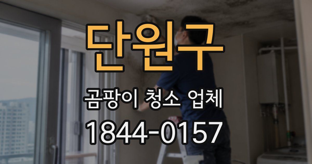 단원구 곰팡이 청소 업체